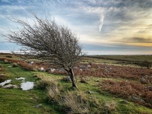 A Fantastic Walk Around Minions And The Monumental Cheesewring