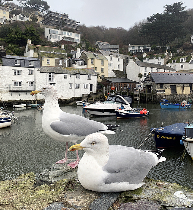 Polperro_Featured
