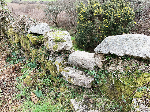 Zennor_StoneSteps
